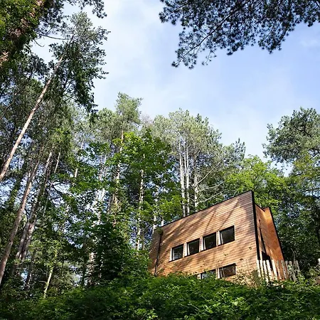 Bains De Foret - Cosy &