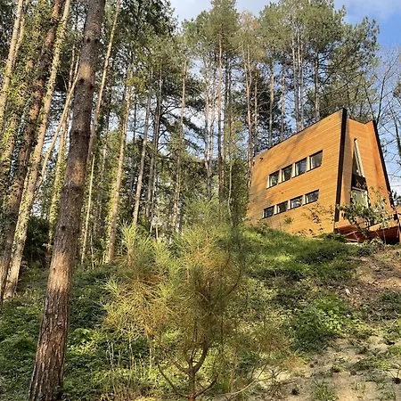 Bains De Foret - Cosy & Neufchâtel-Hardelot