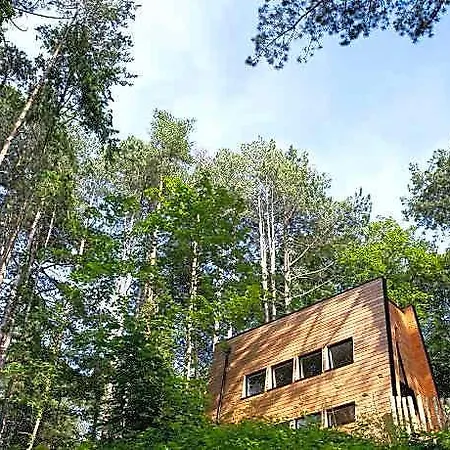 Bains De Foret - Cosy & Ferienhaus Neufchâtel-Hardelot