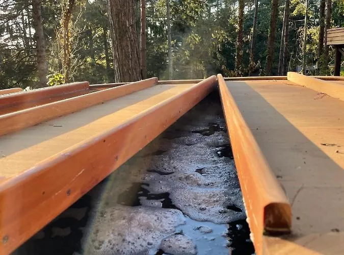 Bain De Forêt - Cosy&spa