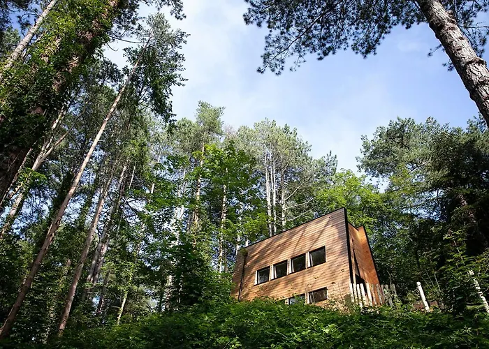 Bain De Forêt - Cosy&spa